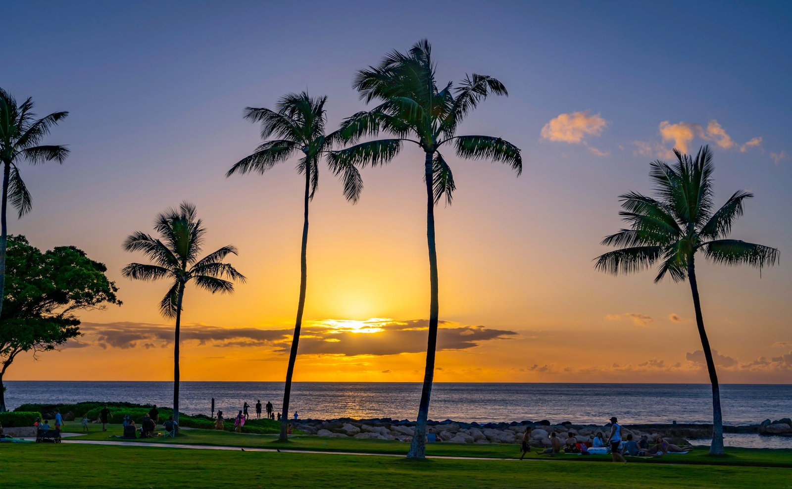 Tropical Palm Trees Ocean Sunset Hawaii Resort